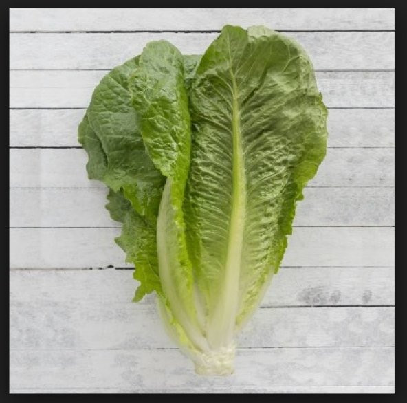 Marul Yedikule-5701 Tohumu 500+ Tohum N11.8646 ürün görseli