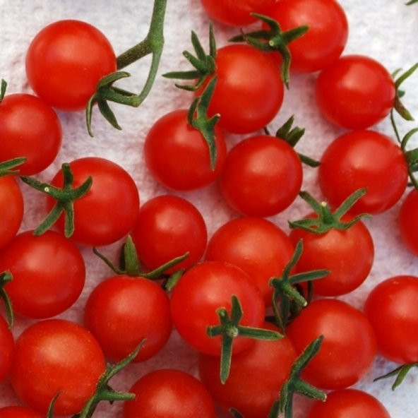 Doğal Red Currant Domates Tohumu 20 Tohum
