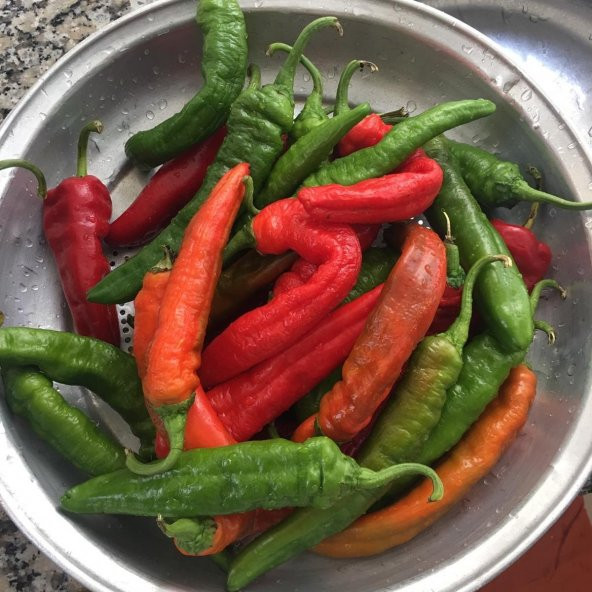 Doğal Çok Acı Hatay Samandağ Acı Biber Tohumu 10 Tohum ürün görseli