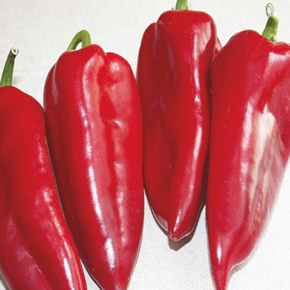 Doğal Verimli Etli Yalova Kapya Biber Tohumu 10 Gram ürün görseli