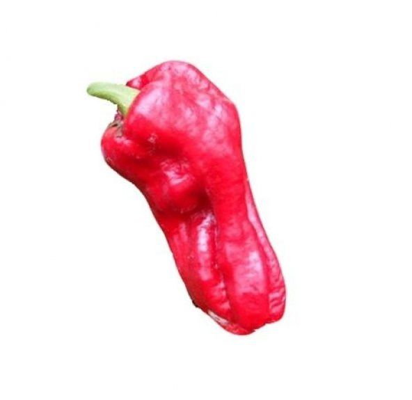 Fidanistanbul Biber Acı İsot Urfa Biberi Tohumu Paket 10 Gr. ürün görseli