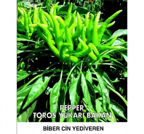 Evdeki Bahçem – Biber Tohumu – Yukarı Bakan Süs ürün görseli