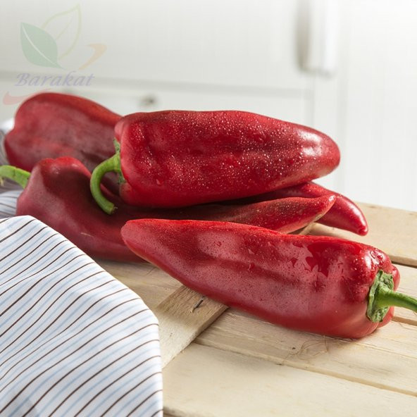 Közlemelik Biber 500 Tohumu Oturak Tipi ürün görseli