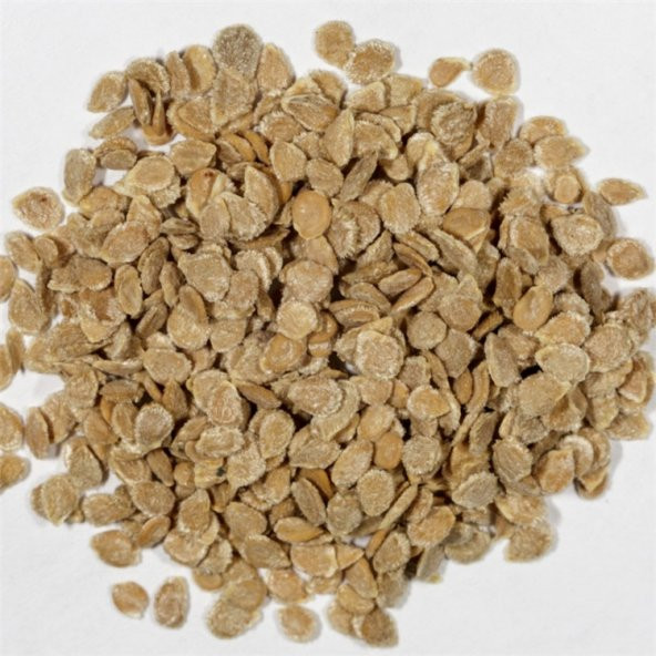 Pembe İri Yuvarlak Çeri Gönen Domates Tohumu Çok Verimli :10 A ürün görseli