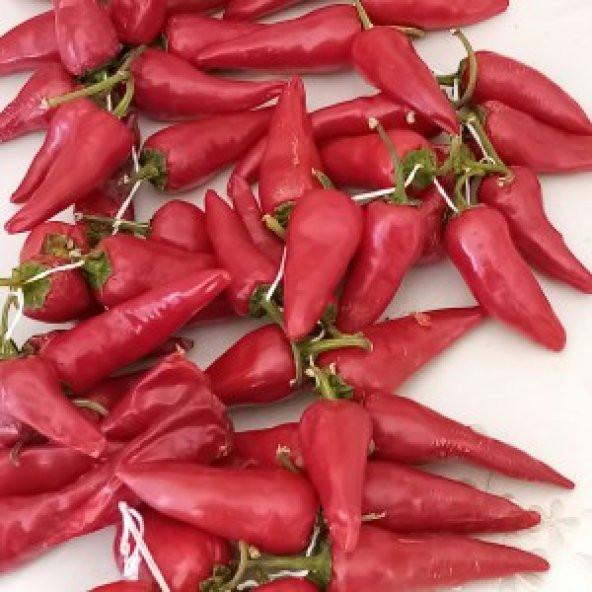 Arnavut Çüçka Çok Acı Biber Tohumu 10 Ad. ürün görseli