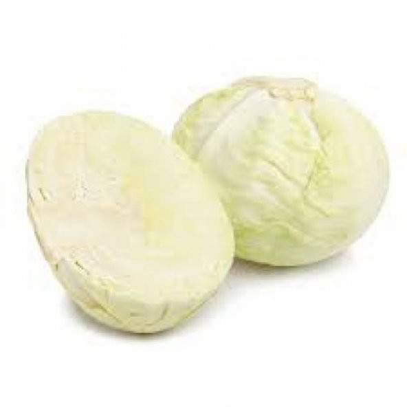 Beyaz Lahana Tohumu Dolmalık : 20 Adet ürün görseli