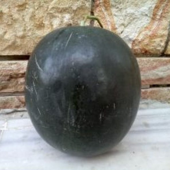 Kara Karpuz Tohumu– : 10 Ad.