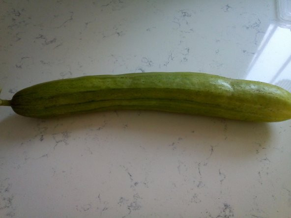 Uzun Köy Salatalık Tohumu- Yer 10 Adet ürün görseli