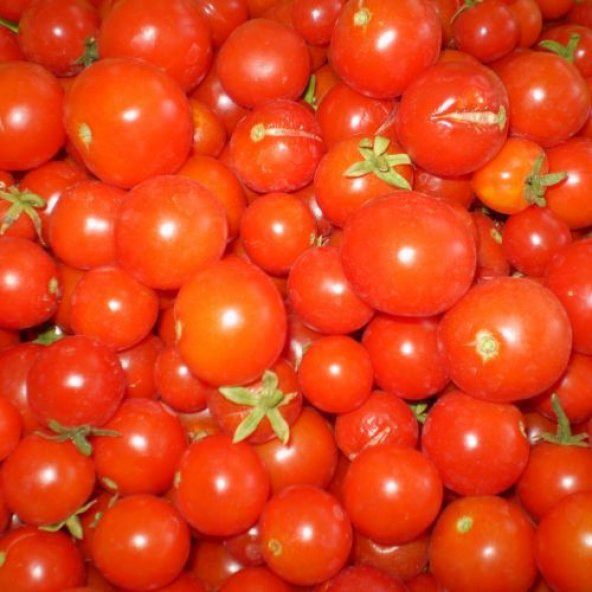 Domates Çeri Boncuk Bebek Domatesi Tohumu 10 Adt