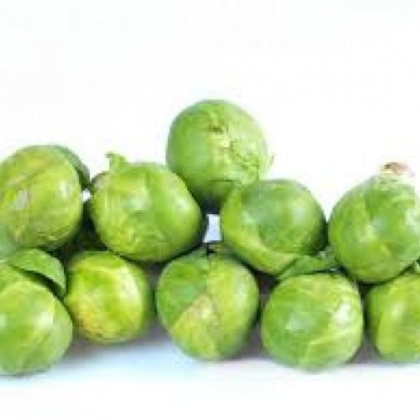 Brüksel Lahanası Tohumu:20 Adet ürün görseli