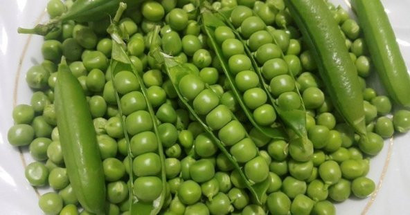 Bezelye Tohumu 60 Adet ürün görseli