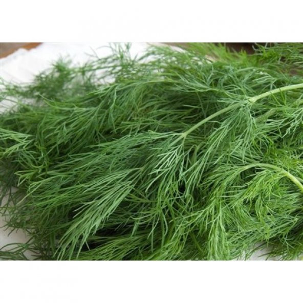 Dere Otu Tohumu 100 Ad ürün görseli