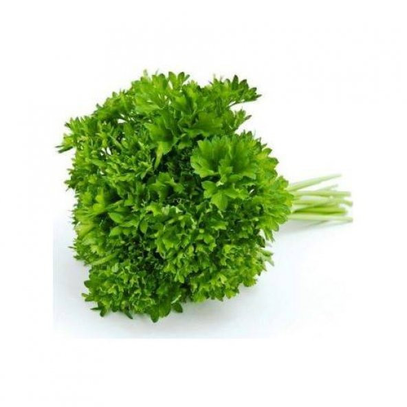 Kıvırcık Maydanoz Tohumu 50 Ad ürün görseli