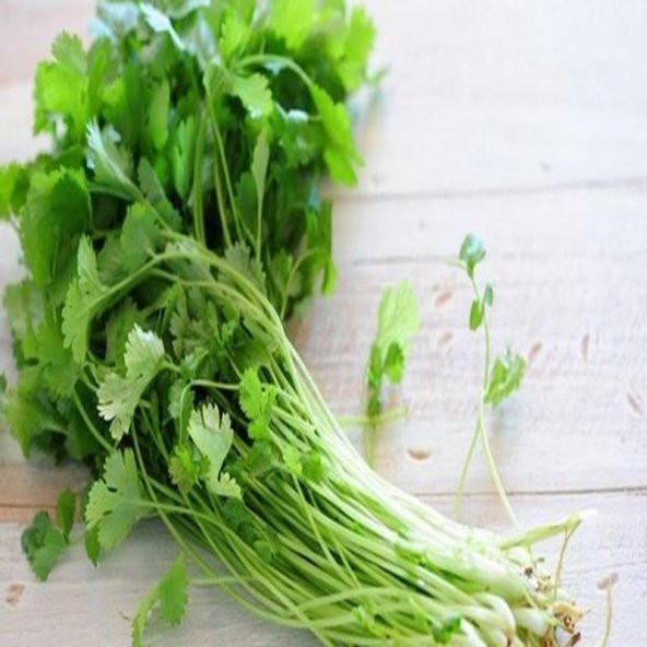 Kokar Kişniş Tohumu Aşotu 45 Tohum ürün görseli