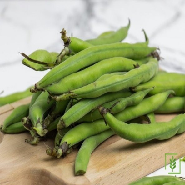 Ambalajlı Sakız Bakla Tohumu 20 Tohum ürün görseli