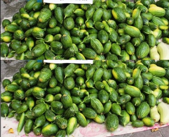 Yeşil Acur Tohumu 300+ Tohum N11.6554 ürün görseli