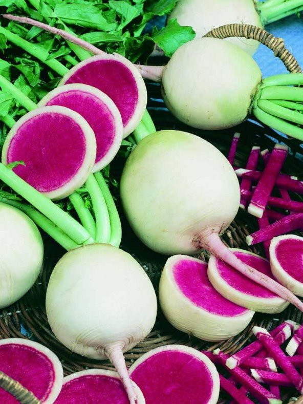 Doğal Çin Turpu 100 Ad. Tohum ürün görseli