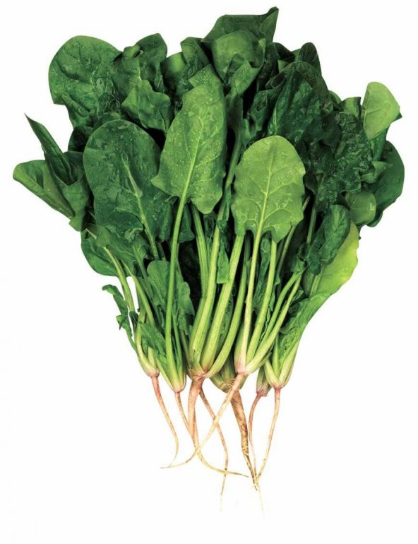 Doğal Geniş Yaprak Ispanak Tohumu 100 Ad. Tohum ürün görseli