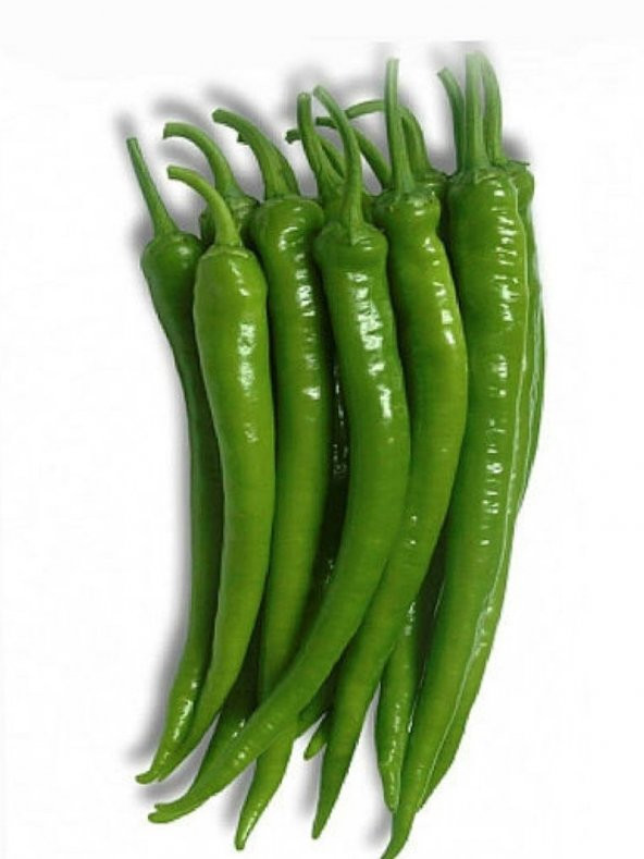 Doğal Acı Sivri Biber Tohumu Ilıcalı 100 Ad. Tohum ürün görseli