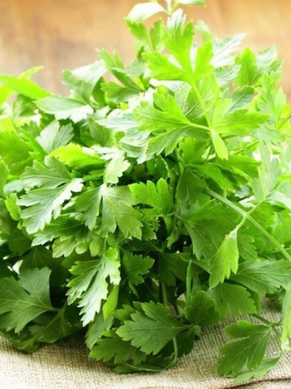 Yerli Maydanoz Tohumu İri Akgen 2500 Ad. Tohum ürün görseli