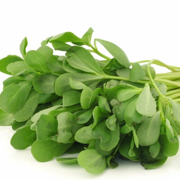 Doğal Geleneksel Toros Nazlısı Semizotu Tohumu 100 Tohum ürün görseli