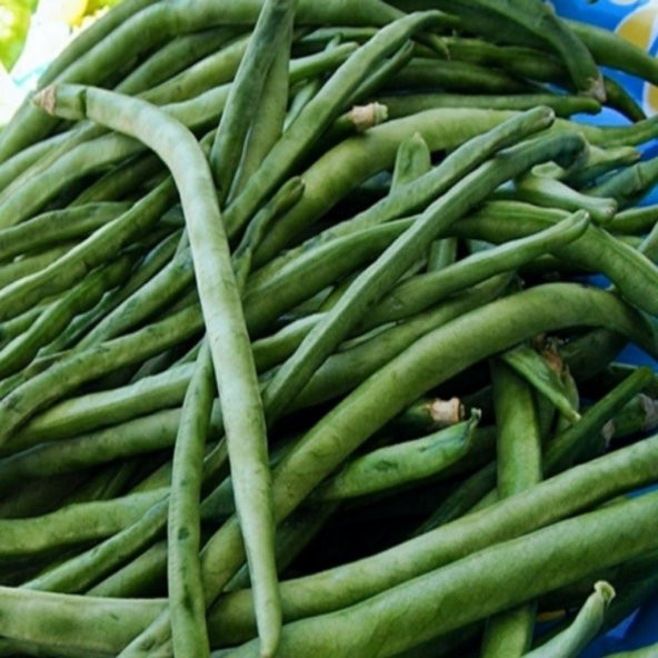 Doğal Geleneksel Kılçıksız Börülce Tohumu 20 Tohum ürün görseli