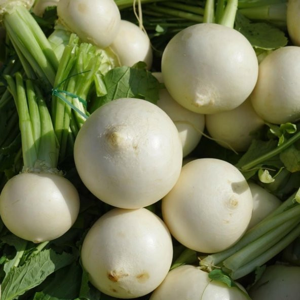 Doğal Geleneksel Toros Beyaz Turp Tohumu 100 Tohum ürün görseli