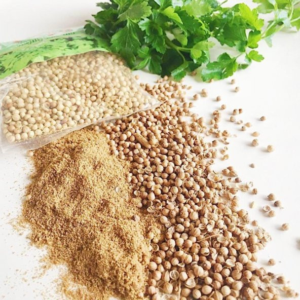 Doğal Kişniş Tohumu Aşotu 50 Tohum N11.3321 ürün görseli