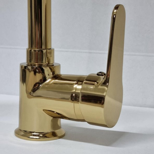 Venita Gold Lüks Gövdeli 360° Oynar Başlıklı Mutfak Evye Bataryası - 3