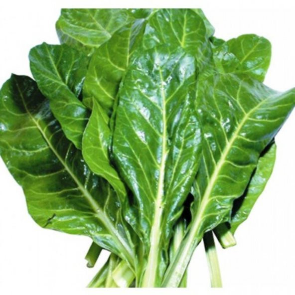 Doğal Geleneksel Geniş Yaprak Pazı Tohumu 100 Tohum ürün görseli