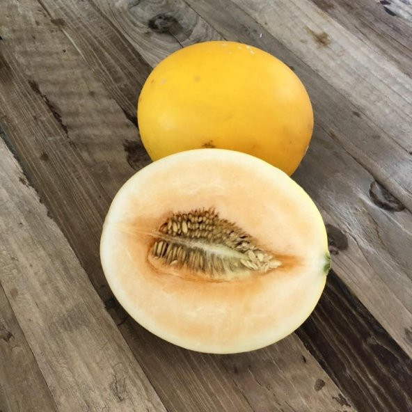 Doğal Geleneksel Kokulu Toros Sarıbal Kavun Tohumu 20 Tohum ürün görseli