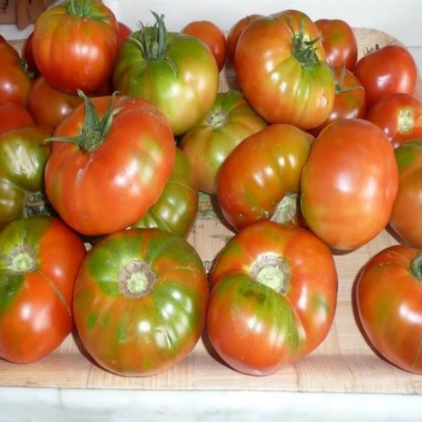Doğal Geleneksel Yayla Tipi Köy Domatesi Tohumu 100 Tohum ürün görseli