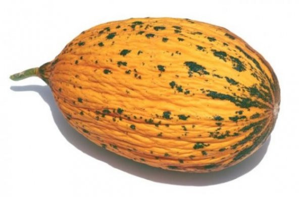 Kırkağaç Kavun Tohumu 1000+ Tohum ürün görseli