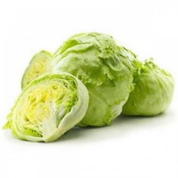 İceberg Göbek Marul Tohumu 300+ Tohum ürün görseli