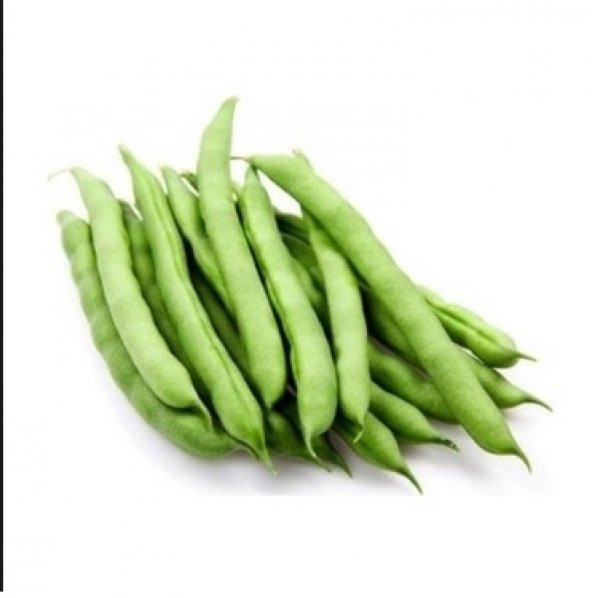 Hanımteni Sırık Turşuluk Oturak Fasulye Tohumu 50+ Tohum ürün görseli