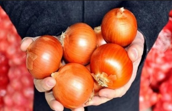 Valanciana Soğan Tohumu 300+ Tohum N11.7162 ürün görseli