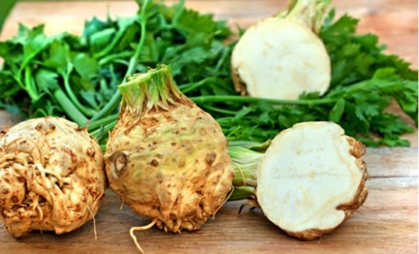 Kereviz Tohumu 100+ Tohum N11.6342 ürün görseli