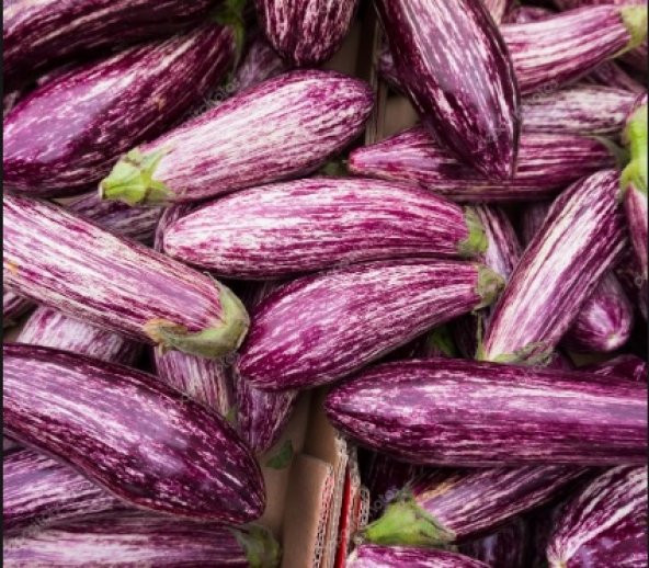 Alacalı Çizgili Patlıcan Tohumu 500+ Tohum N11.4334 ürün görseli