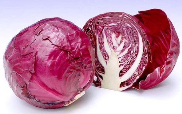 Mor Lahana Tohumu 500+ Tohum N11.8044 ürün görseli 1