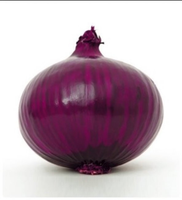 Mor Soğan Tohumu 100+ Tohum N11.8163 ürün görseli