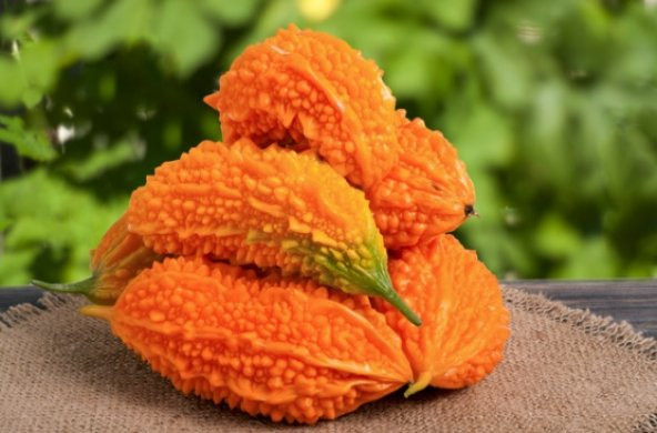 Kudret Narı Tohumu 3 Adet Tohum N11.8497 ürün görseli