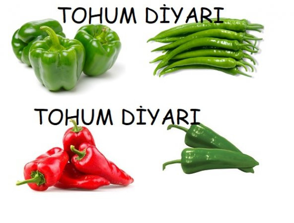 4 Çeşit Biber Seti 500+ Tohum ürün görseli