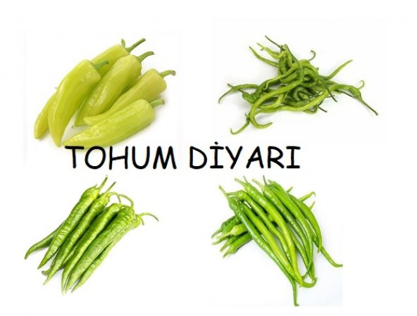 4 Çeşit Biber Tohum Seti 500+ Tohum