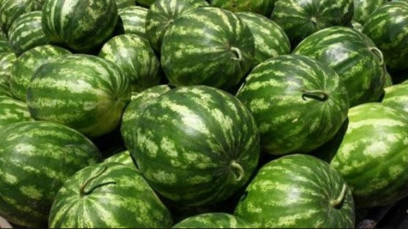 Crımson Sweet Tatlı Karpuz Tohumu 1000+ Tohum ürün görseli