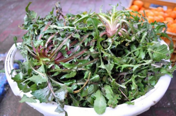 Hindiba - Güneyik Tohumu 1000+ Tohum ürün görseli 1