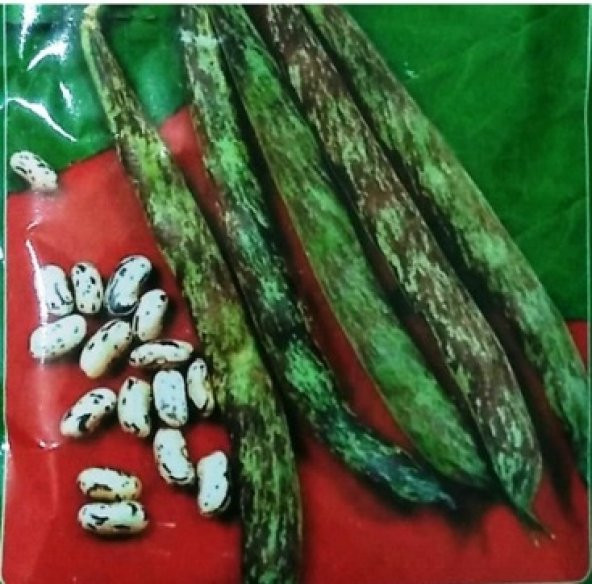 Çilli Kız Sırık Fasulye Tohumu 50+ Tohum N11.8267 ürün görseli