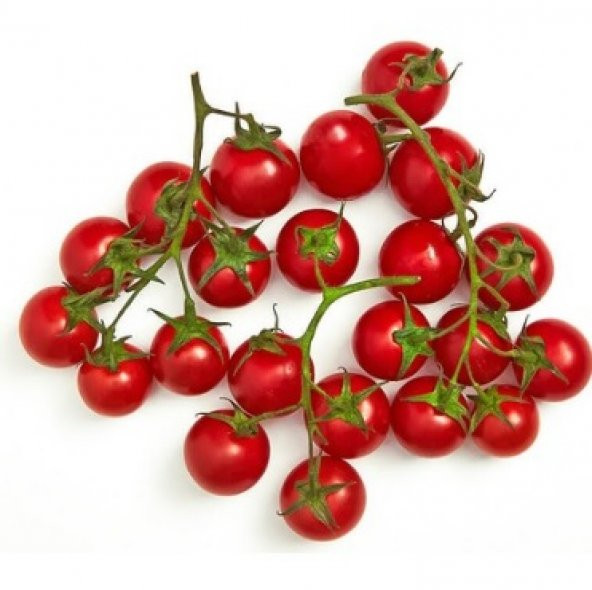 Cherry Domates Tohumu 100+ Tohum N11.7846 ürün görseli 1