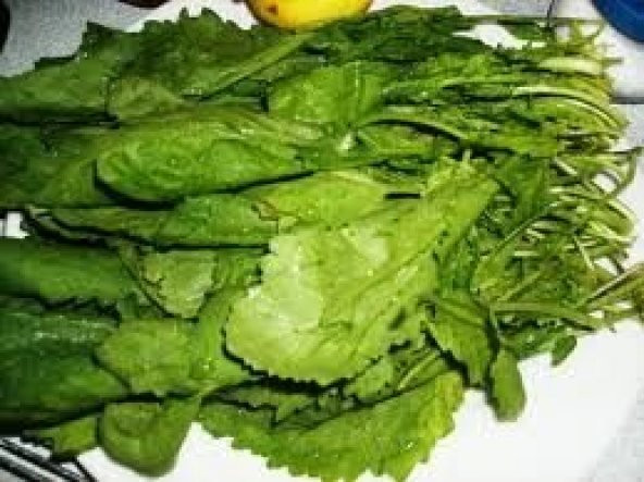 Doğal Tere Tohumu 50 Tohum ürün görseli 1