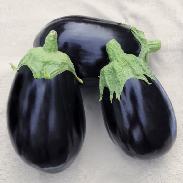 Doğal Topan Patlıcan Tohumu 20 Tohum ürün görseli