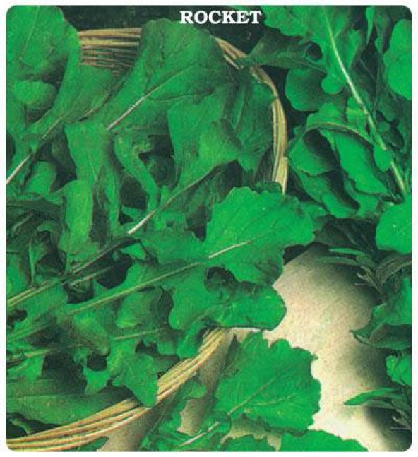 Geniş Yaprak Roka Tohumu 2 Gram - Resim 3